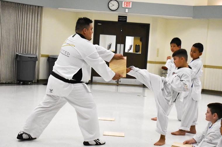 Wellness & Discipline Taekwondo master holding a plank and disciple kicking it